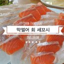 막썰어 세꼬시회 이미지