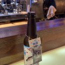 써니카페앤펍 | [내돈내산]전 세계 다양한 맥주와 이국적인 감성이 가득한 곳, 여수 백패커스펍 앤 카페 솔직후기 🍻🐈