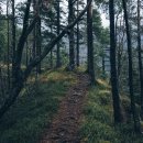 에그드랍 이미지