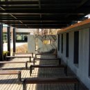 대구수창초등학교 이미지