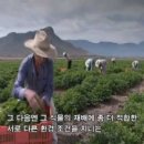 원천농장 이미지