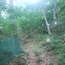 부산종합터미널 이미지