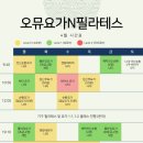 오뮤요가N필라테스