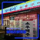 논실카 | 안산 곱창 맛집 가성비 양대리양대창 안산중앙점 재방문 후기