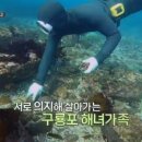 해남건어물 - 강동구 천호대로187길 73 | 해남건어물