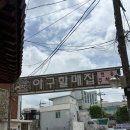 마산합포구 ⓗ-11 | 마산오동동맛집 60년 전통 원조_마산오동동할매아구찜 마산오동동점 후기