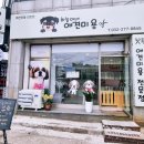 하늘이네 애견 미용 이미지
