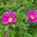 승구농장 이미지