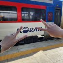 예성2목장 | [대전 빵집] 빵집투어 1탄 (하레하레, 하루팡, 콜마르브레드)