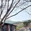 담터계곡펜션 | 강원도계곡펜션 담터계곡펜션 자연휴양림 안부러운 강원도가여행 숙박 숙소