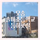 오송솔미초등학교 이미지