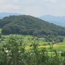 김극뉴 묘역 이미지