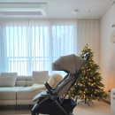 오토스킨 | 휴대용유모차 추천 오토폴딩으로 편리한 순성 코니 후기