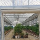 경이농장 이미지