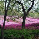 군포-산본-2017 이미지