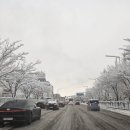 정왕대로 이미지