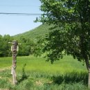 쎈수학러닝센터학원 이미지