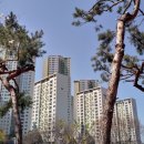 서울강덕초등학교 이미지