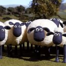 제주일상 이미지