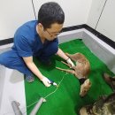 경기도 야생동물 구조관리센터 이미지