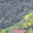 두메산골농원