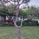 레스트44 | 강화도 독채 펜션 레스트44 깨끗한 강화도가족펜션 신축 바베큐 솔직 후기