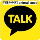 코코펫동물판매장 | 동물교감카드/ 펫타로 상담후기_아트