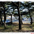 남양농장 이미지