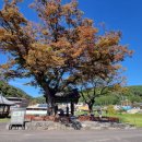 함안 대산리 석조삼존상 | 함안 대산리석조삼존상(慶尙南道 咸安 大山里石造三尊像)