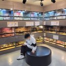 작은 동물원 이미지