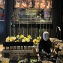 916 | [제주 이자카야]분위기좋은 제주시애월읍916/내돈내산 대표메뉴 솔직후기