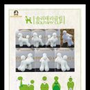 튼튼애견미용 이미지