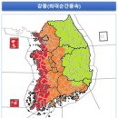 옥상바람