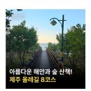 (참가인윈 미달로 보류)제주 남1/여1 신청하시면 출발합니다. 3월30일~ 4월4일 /5박6일 인생소풍 이미지