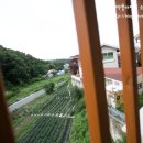 해밀터펜션