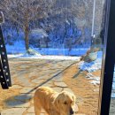 생극농장 이미지