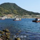 계도어촌체험마을 이미지