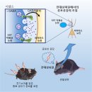 공감 - 보령시 돈바탕길 15 | 공감