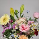 세심태권도 이미지