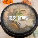 궁중삼계탕 | 안산 사동 맛집 궁중 삼계탕 내돈내산 후기(+메뉴)