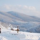 흔들목장 이미지