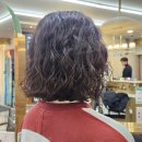 하루다과 이미지