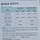 사람 조형물(여자) | 24개월 미만 아기 무료 충주 활옥동굴 유모차 입장 후기