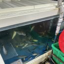 문희횟집 이미지