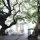 부안트리호텔 이미지