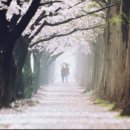 꽃공인중개사사무소 이미지