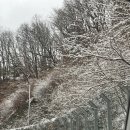 가평실내수영장온수무료펜션A | 가평 실내수영장 온수 무료 펜션 / 가평 펜션