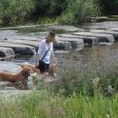 청도천9 이미지