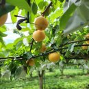 준 휘트니스 이미지