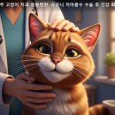 명인치과병원 | 광주 고양이 치과 동물병원 추천: 송곳니 치아 흡수성 병변 수술 과정